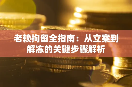 北京老赖拘留全指南：从立案到解冻的关键步骤解析