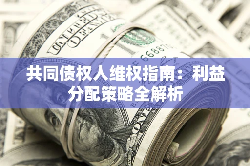 北京共同债权人维权指南：利益分配策略全解析