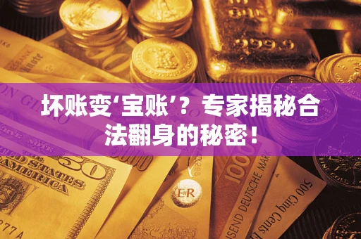 北京坏账变‘宝账’？专家揭秘合法翻身的秘密！